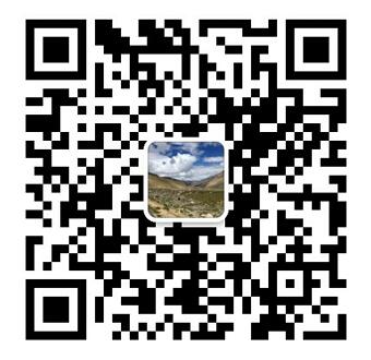 重庆大菠萝网站入口科技有限公司